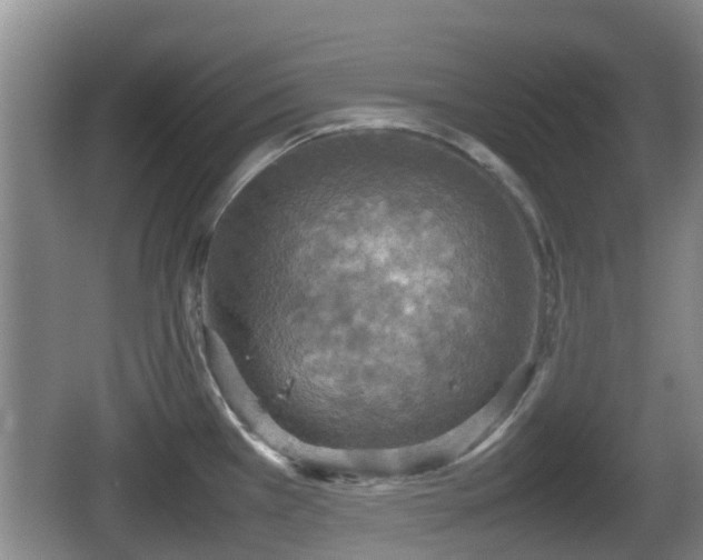 X0000067891385200604171326