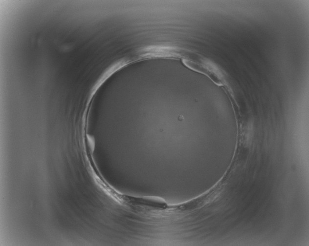 X0000067891386200604171326