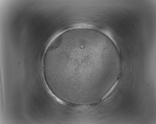 X0000067891387200604171326