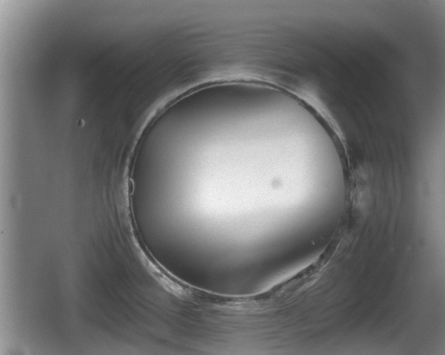 X0000067891388200604171326