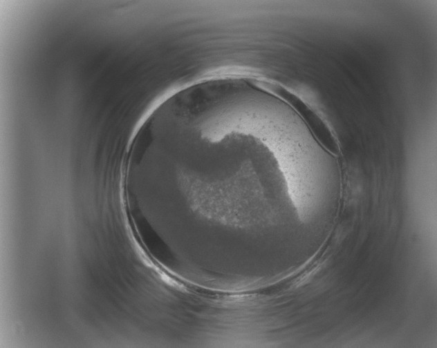 X0000067891390200604171326