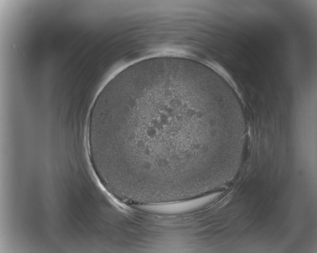 X0000067891391200604171326