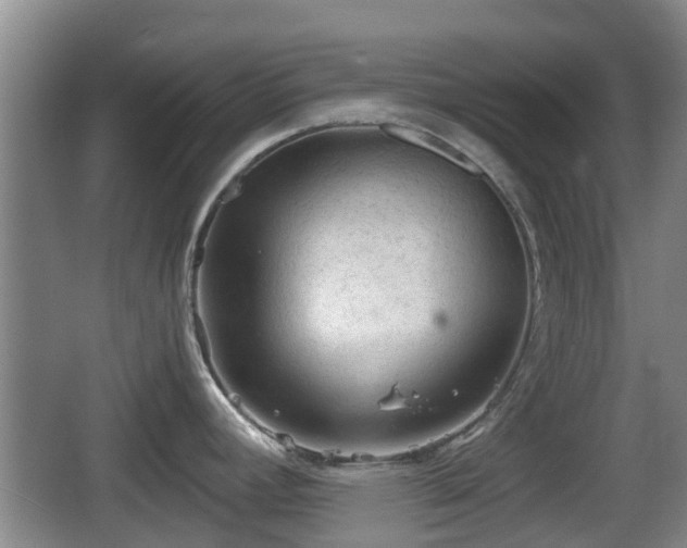 X0000067891392200604171326