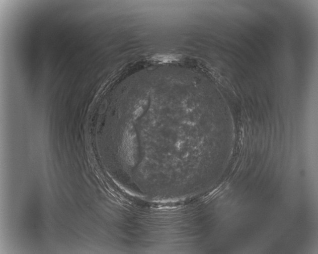 X0000067891393200604171325