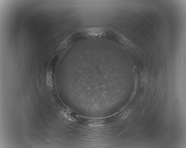 X0000067891394200604171325