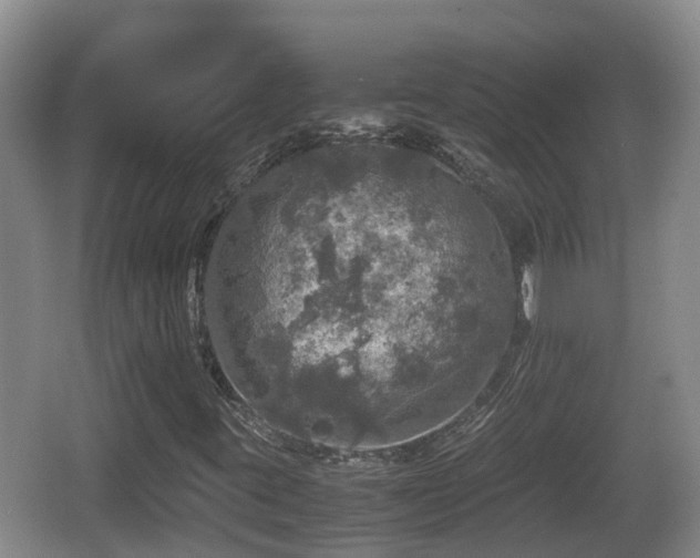 X0000067891395200604171325