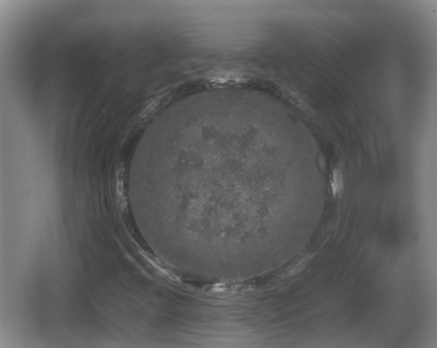 X0000067891396200604171325