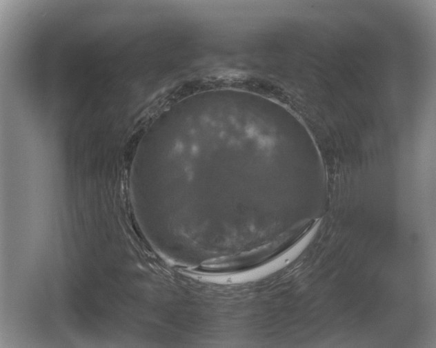 X0000067891397200604171325