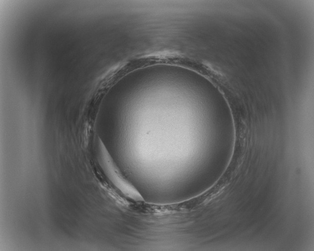 X0000067891398200604171325