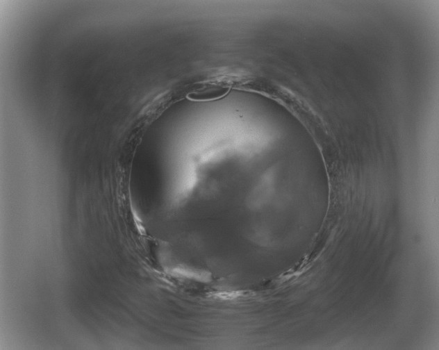 X0000067891399200604171325