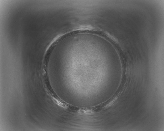 X0000067891400200604171325