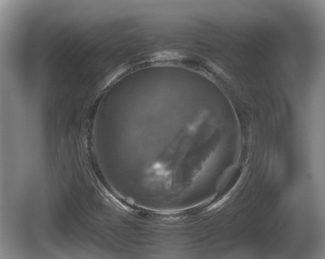 X0000067891401200604171325