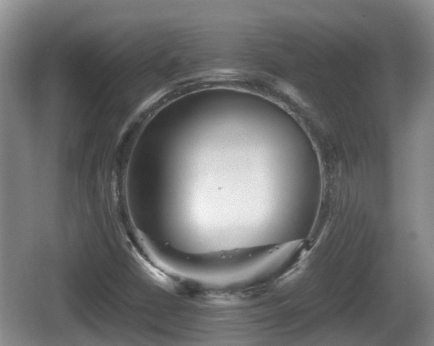 X0000067891402200604171325