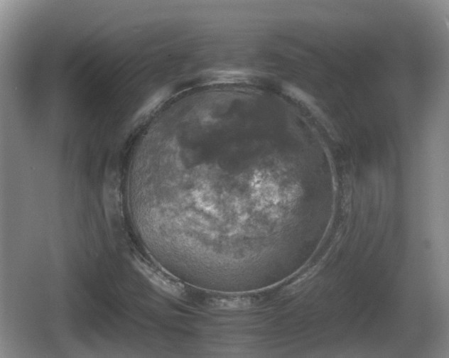 X0000067891403200604171325