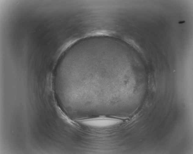 X0000067891404200604171325