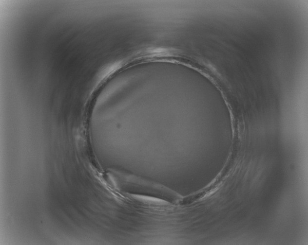 X0000067891405200604171325