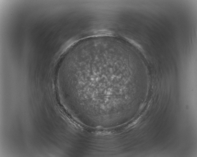 X0000067891407200604171325