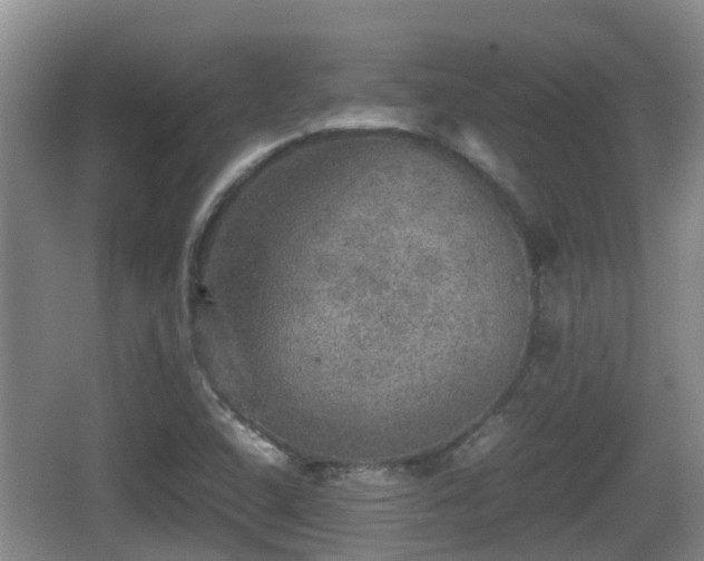 X0000067891408200604171325