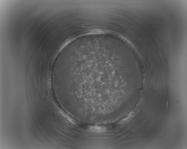 X0000067891409200604171325