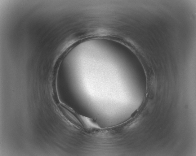 X0000067891410200604171325