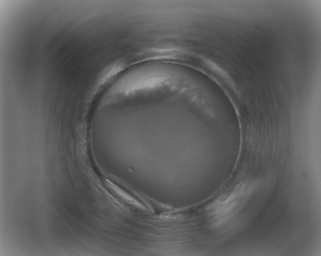 X0000067891411200604171325