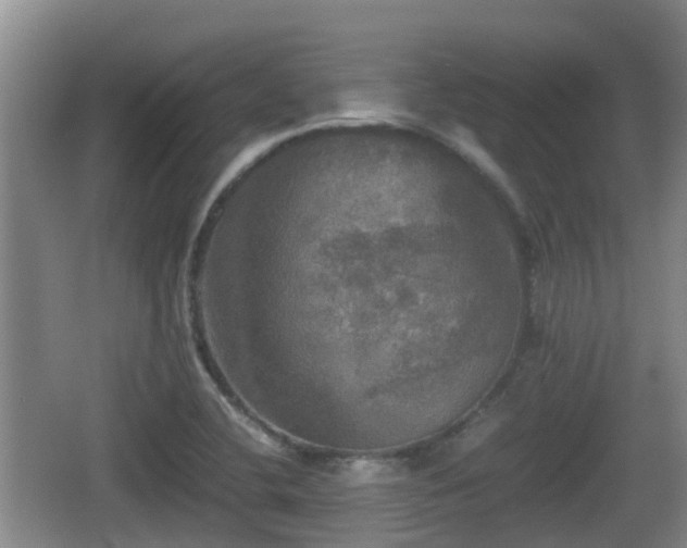 X0000067891412200604171325