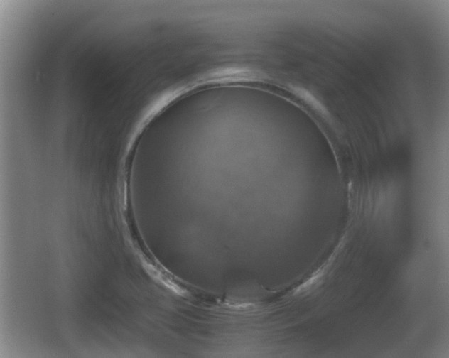 X0000067891413200604171325