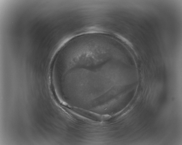 X0000067891415200604171325