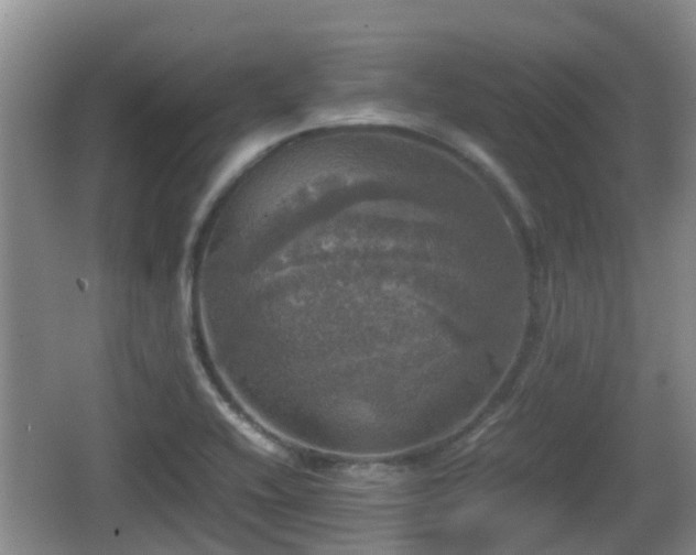 X0000067891416200604171325