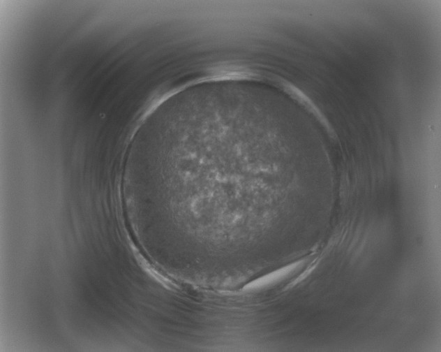 X0000067891417200604171325