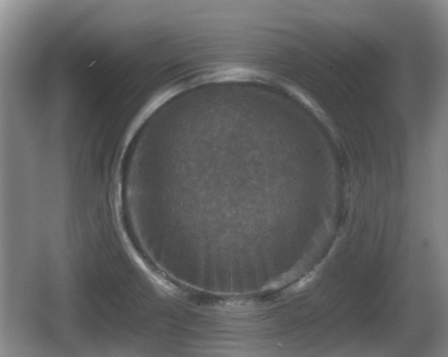 X0000067891418200604171325