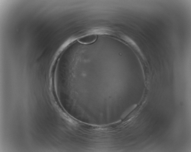 X0000067891419200604171325