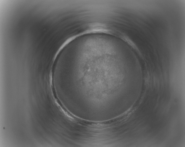 X0000067891420200604171325