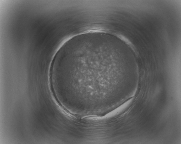 X0000067891423200604171325