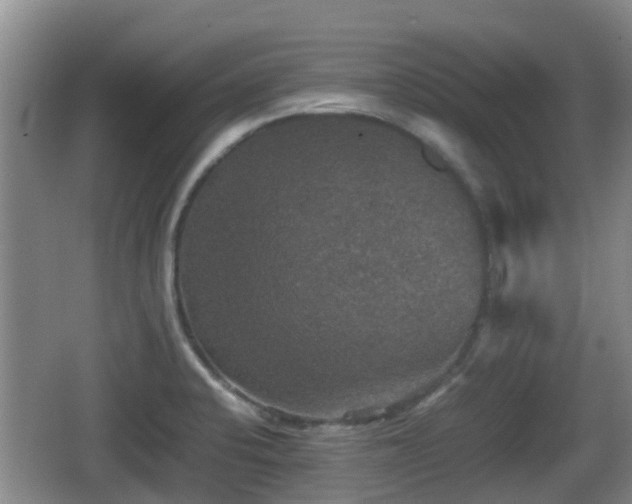 X0000067891424200604171325