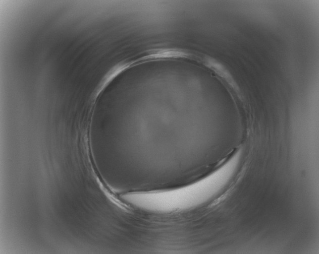 X0000067891425200604171325