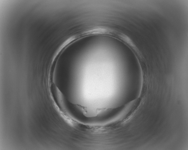 X0000067891426200604171325