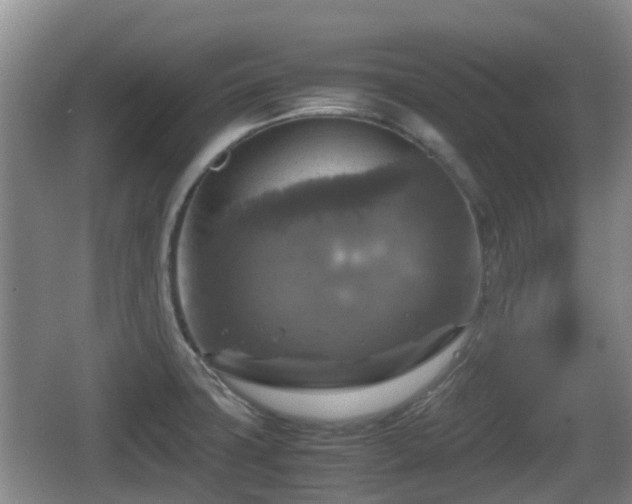 X0000067891427200604171325