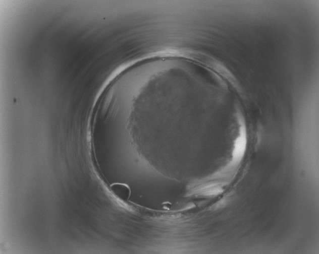 X0000067891428200604171325