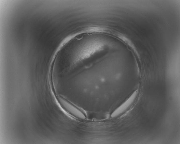 X0000067891429200604171325