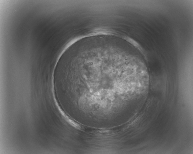 X0000067891431200604171325