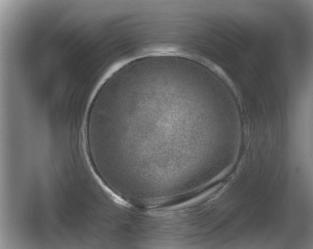 X0000067891432200604171325