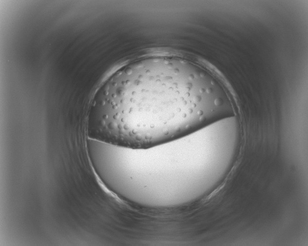 X0000067891433200604171326