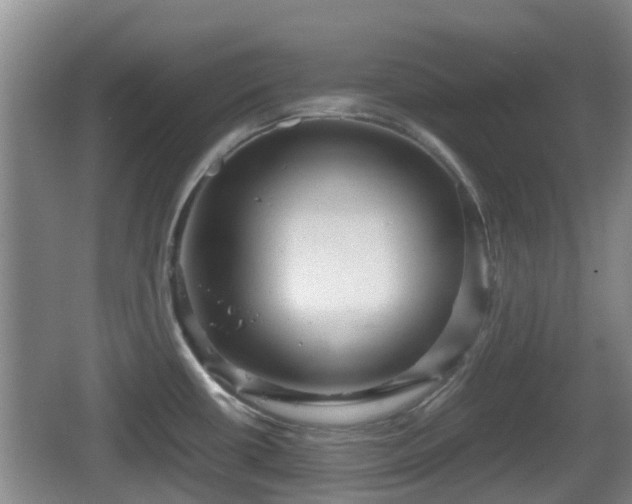 X0000067891434200604171326