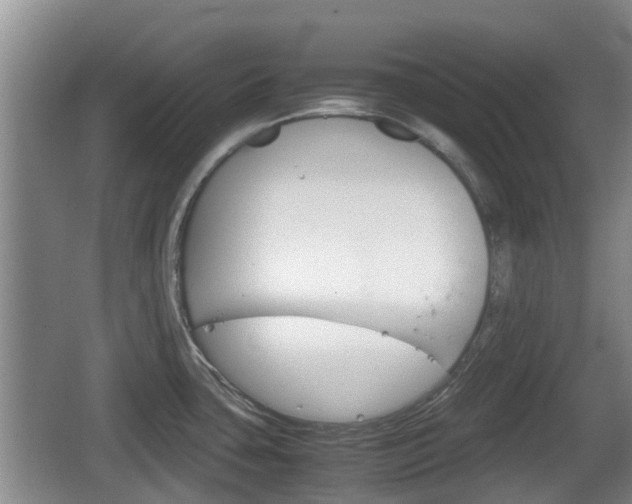 X0000067891435200604171326