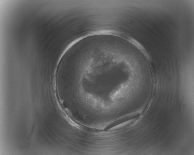 X0000067891436200604171326