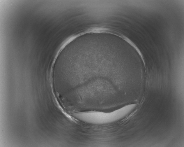 X0000067891437200604171326