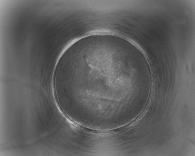 X0000067891440200604171326