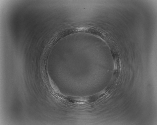 X0000067891441200604171325