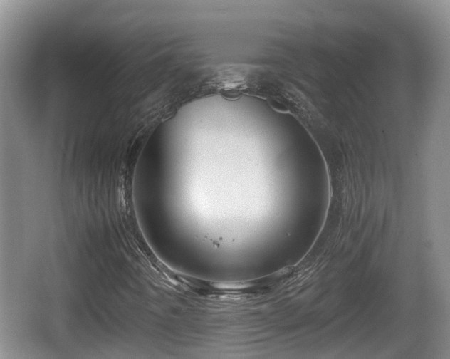 X0000067891442200604171325